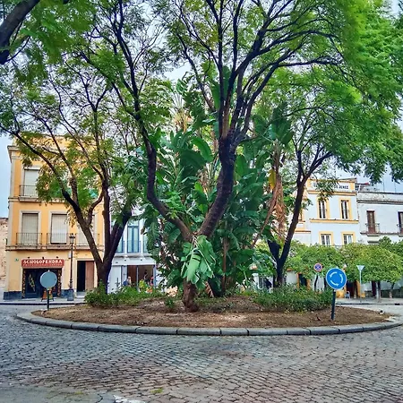 Appartamento ático San Agustín - Panoramic View *