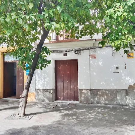 Atico San Agustin - Panoramic View *