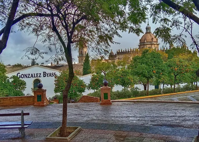 Atico San Agustin - Panoramic View * Jerez de la Frontera
